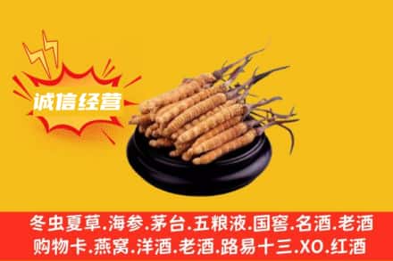 衡水市桃城回收冬虫夏草
